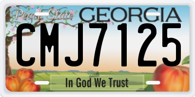 GA license plate CMJ7125
