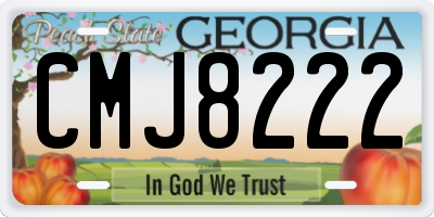 GA license plate CMJ8222