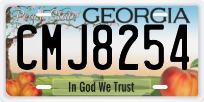GA license plate CMJ8254