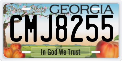 GA license plate CMJ8255