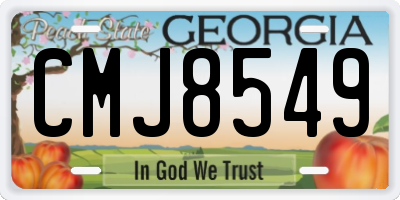 GA license plate CMJ8549