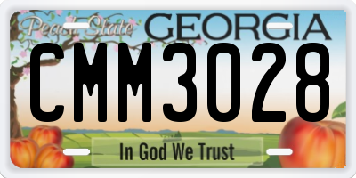 GA license plate CMM3028