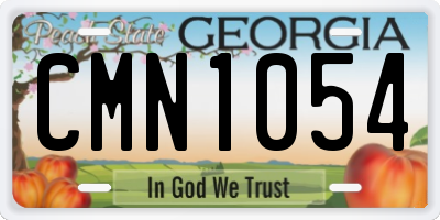 GA license plate CMN1054