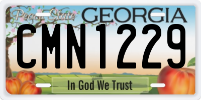 GA license plate CMN1229