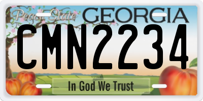 GA license plate CMN2234