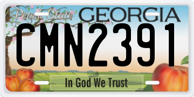 GA license plate CMN2391