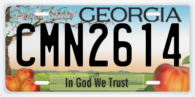 GA license plate CMN2614