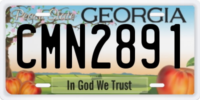 GA license plate CMN2891
