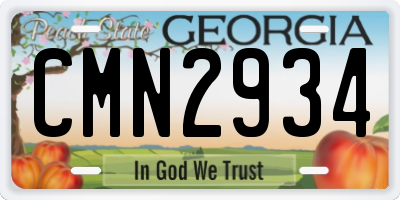 GA license plate CMN2934