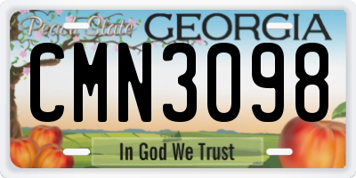 GA license plate CMN3098