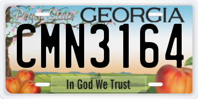 GA license plate CMN3164
