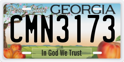 GA license plate CMN3173