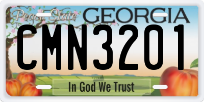 GA license plate CMN3201