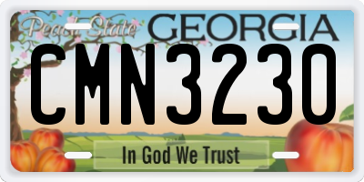 GA license plate CMN3230
