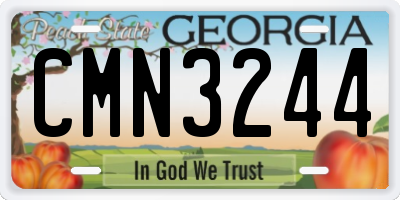 GA license plate CMN3244
