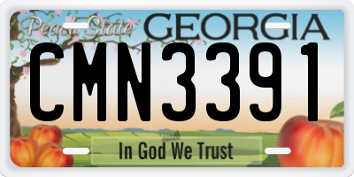 GA license plate CMN3391