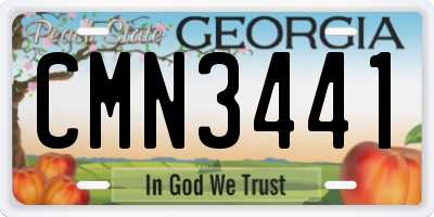 GA license plate CMN3441