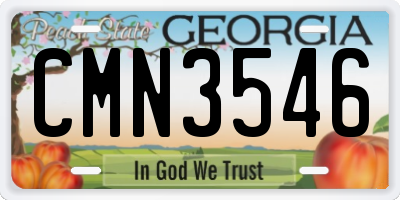 GA license plate CMN3546