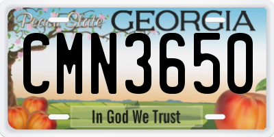 GA license plate CMN3650