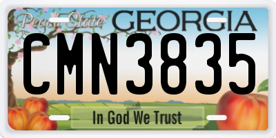 GA license plate CMN3835