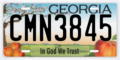 GA license plate CMN3845