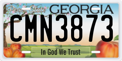 GA license plate CMN3873