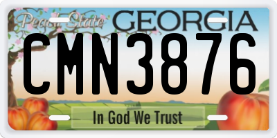 GA license plate CMN3876
