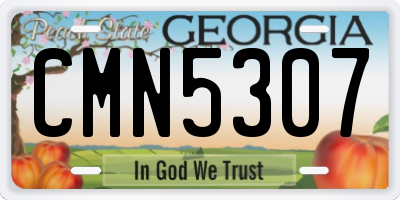 GA license plate CMN5307