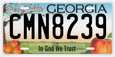 GA license plate CMN8239