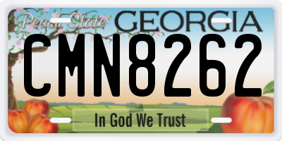 GA license plate CMN8262