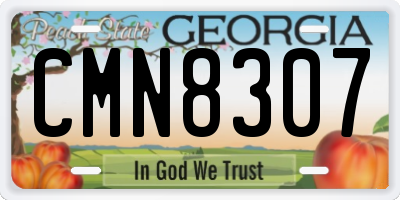 GA license plate CMN8307