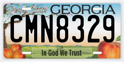 GA license plate CMN8329