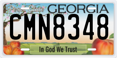 GA license plate CMN8348