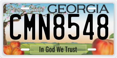 GA license plate CMN8548