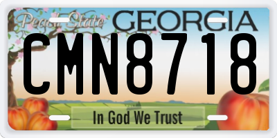 GA license plate CMN8718