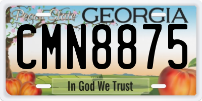GA license plate CMN8875