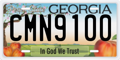 GA license plate CMN9100