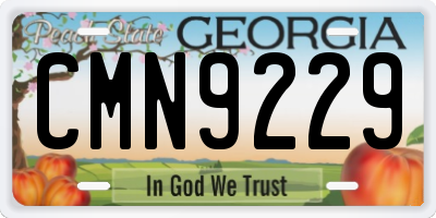 GA license plate CMN9229