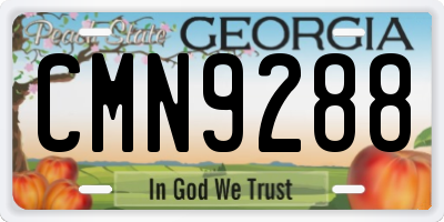 GA license plate CMN9288