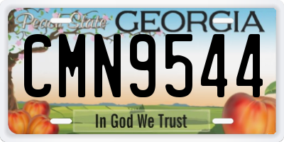 GA license plate CMN9544