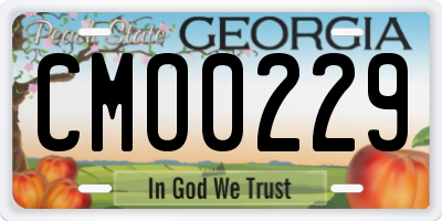 GA license plate CMO0229