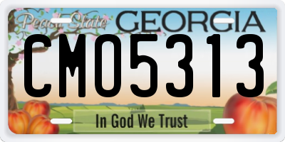 GA license plate CMO5313