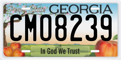 GA license plate CMO8239