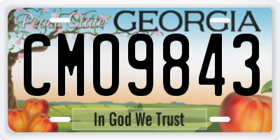GA license plate CMO9843