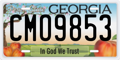 GA license plate CMO9853