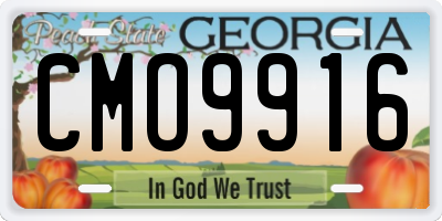 GA license plate CMO9916