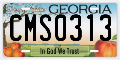 GA license plate CMS0313