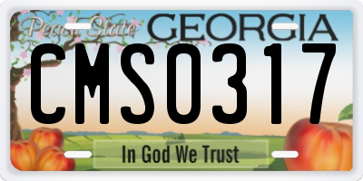 GA license plate CMS0317