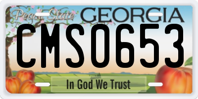 GA license plate CMS0653
