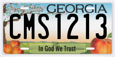 GA license plate CMS1213